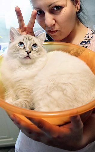 Club member with a cat at a show